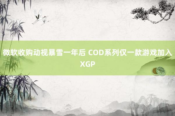 微软收购动视暴雪一年后 COD系列仅一款游戏加入XGP