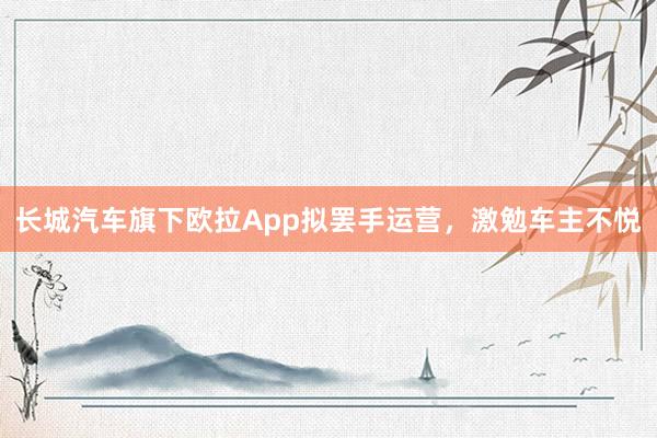 长城汽车旗下欧拉App拟罢手运营，激勉车主不悦