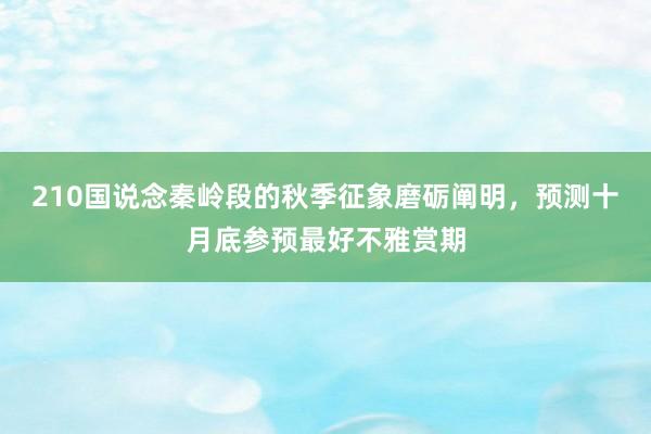 210国说念秦岭段的秋季征象磨砺阐明，预测十月底参预最好不雅赏期